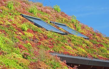 Stoneyfield living roof systems