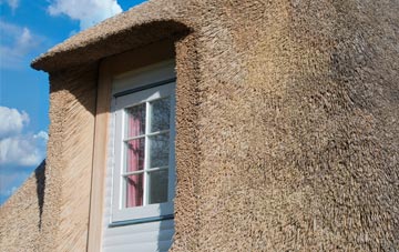 Stoneyfield thatch roof disadvantages